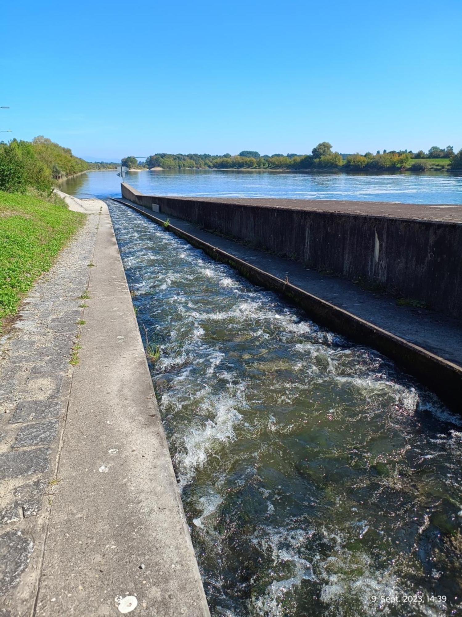 G.A.D.D Ferienwohnung/Glueck An Der Donau Straubing Bagian luar foto